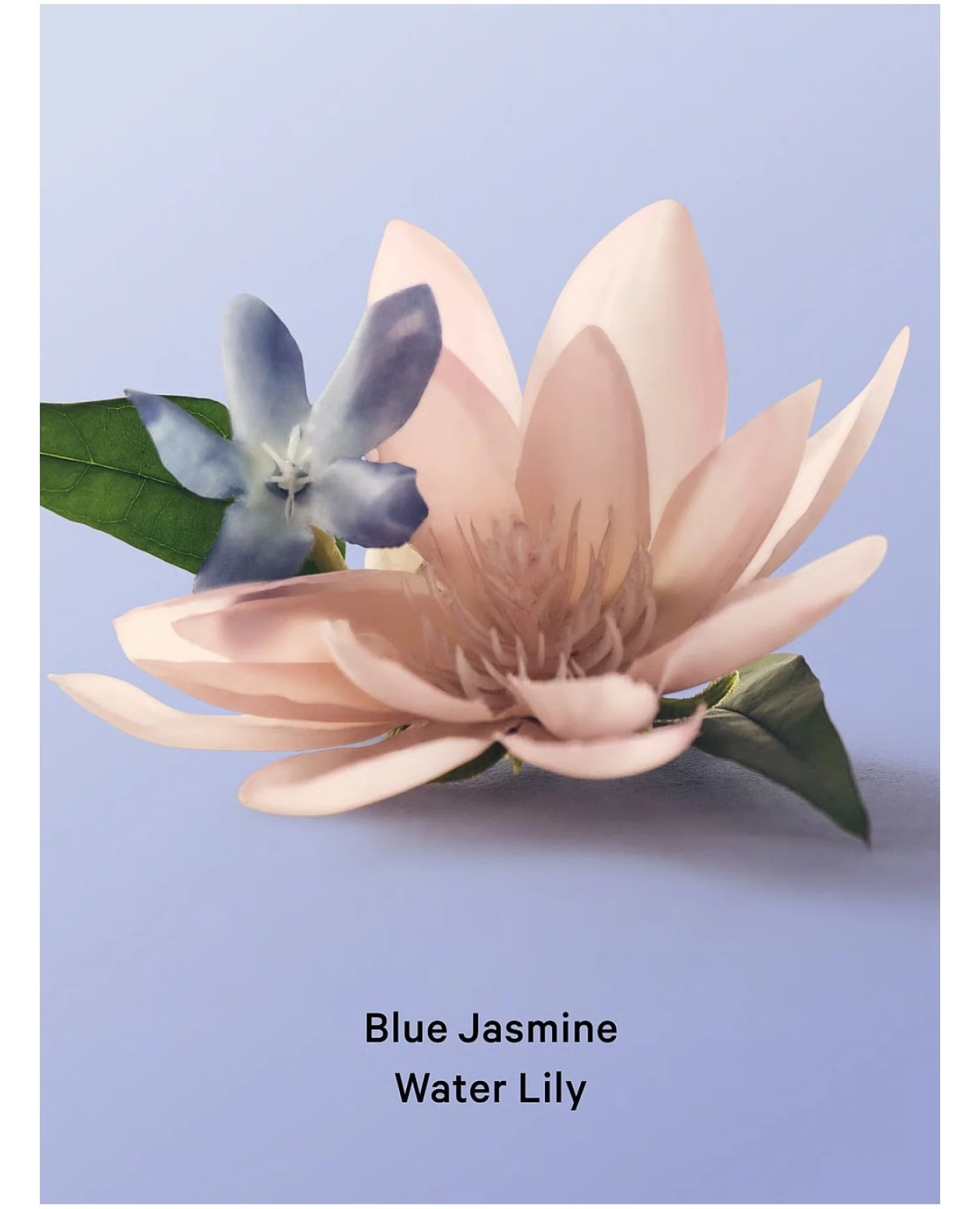 Гель для душу Blue Jasmine Water Lily Victoria's Secret