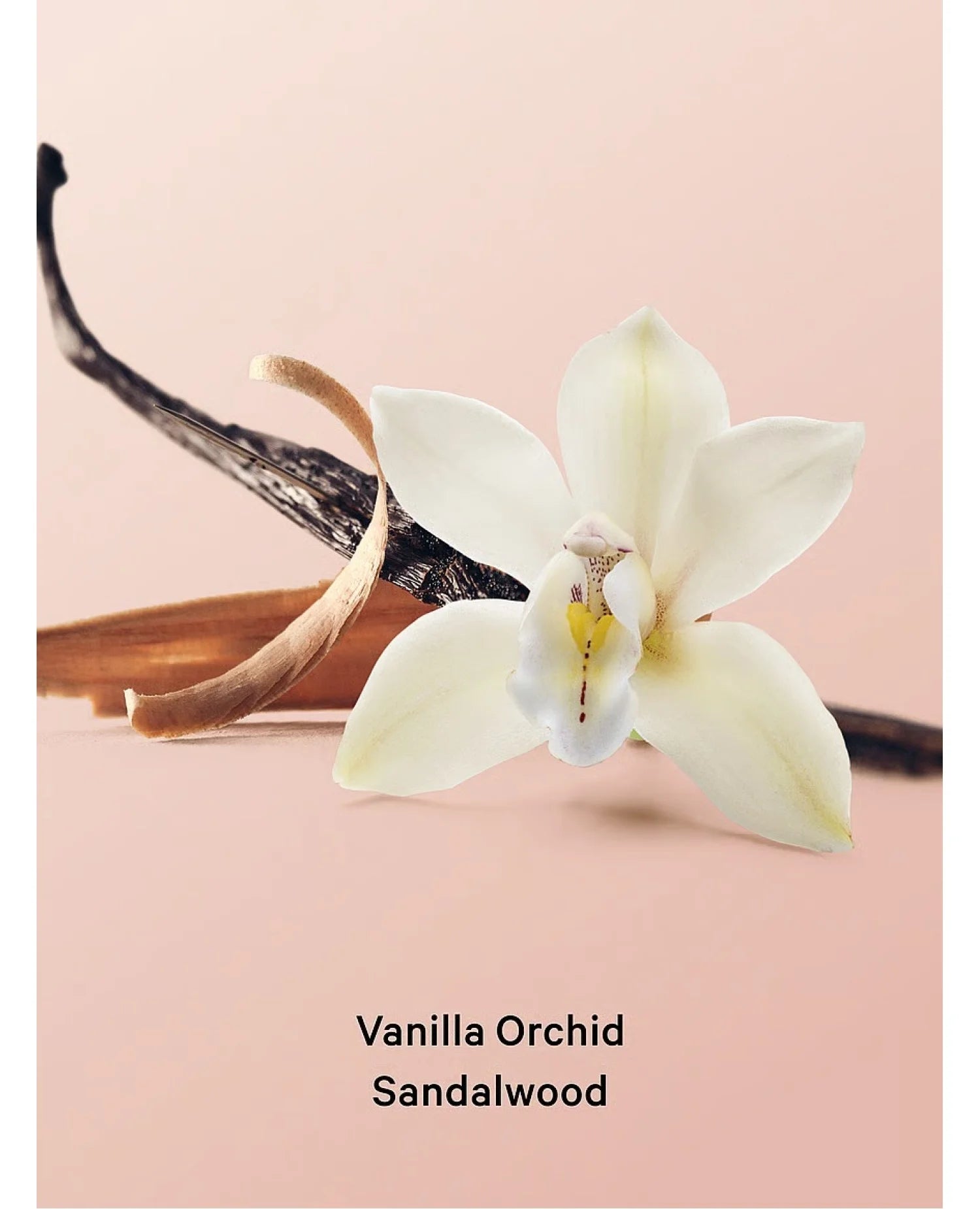 Подарунковий набір Vanilla Orchid Sandalwood 2-Piece Gift Set Victoria's Secret