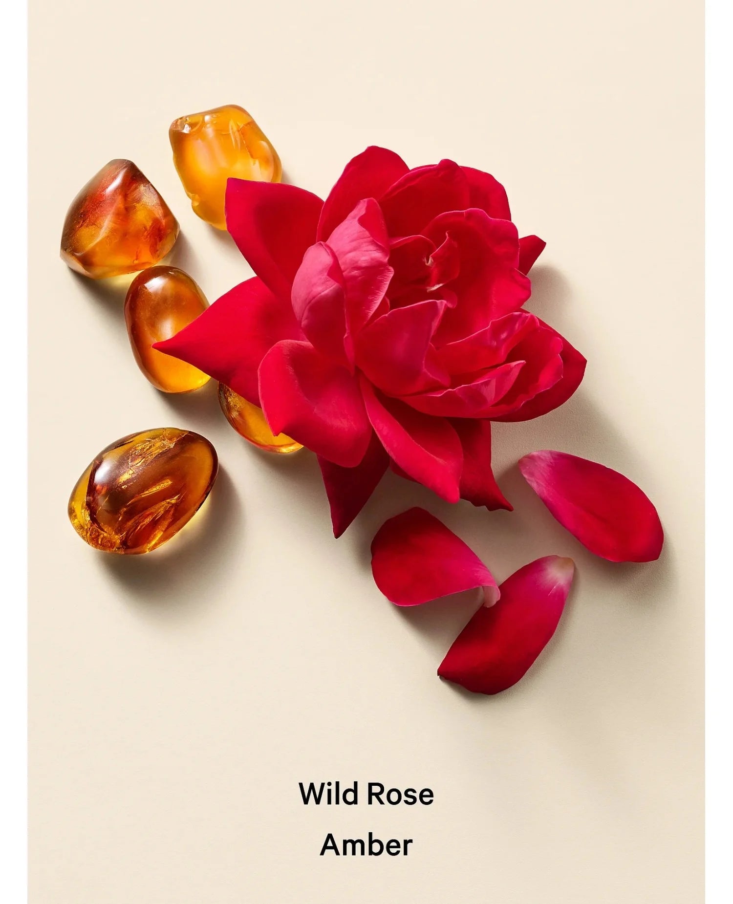 Лосьйон Wild Rose Amber Victoria's Secret