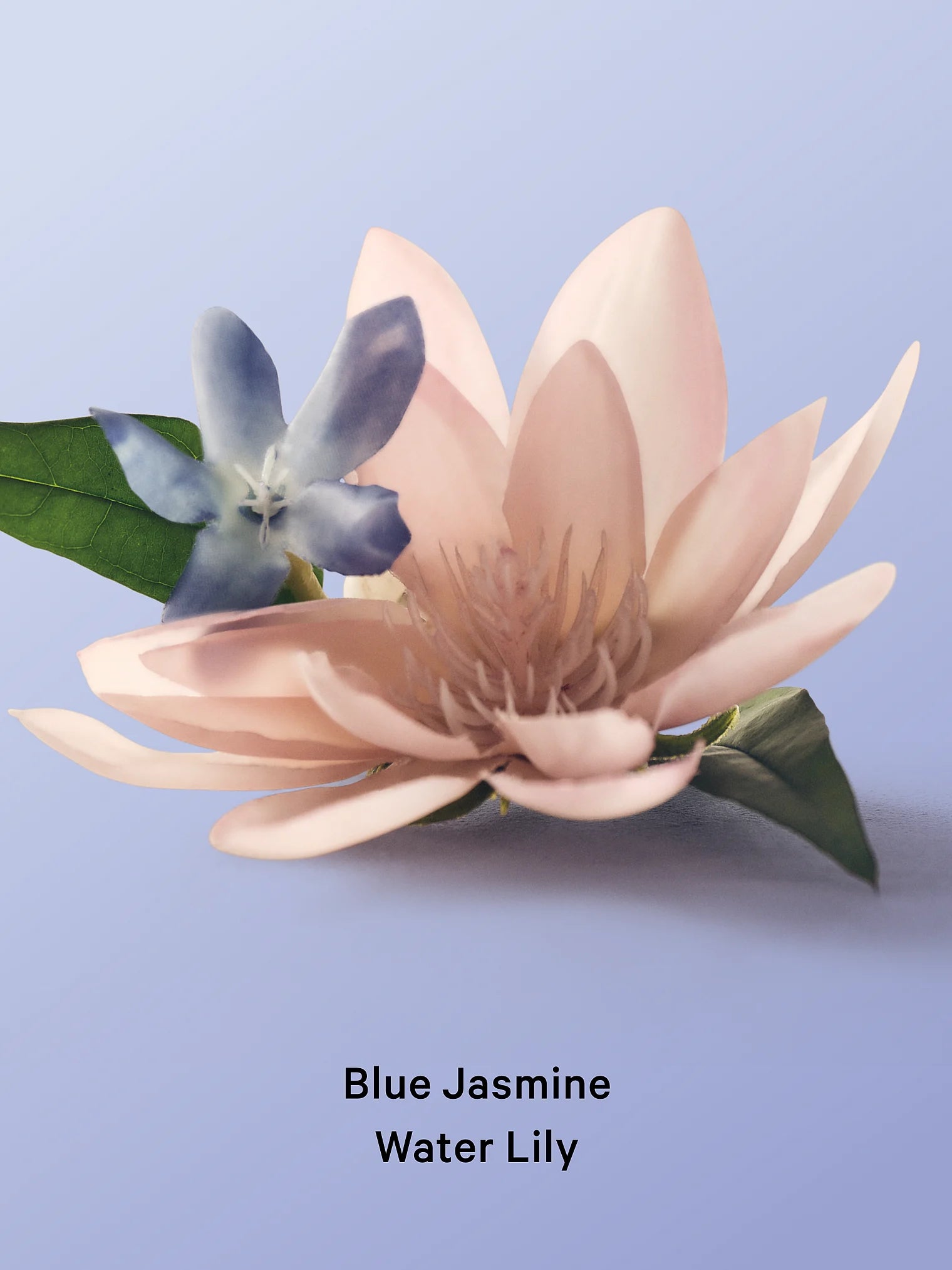 Міні-спрей Blue Jasmine Water Lily Victoria's Secret 75mL