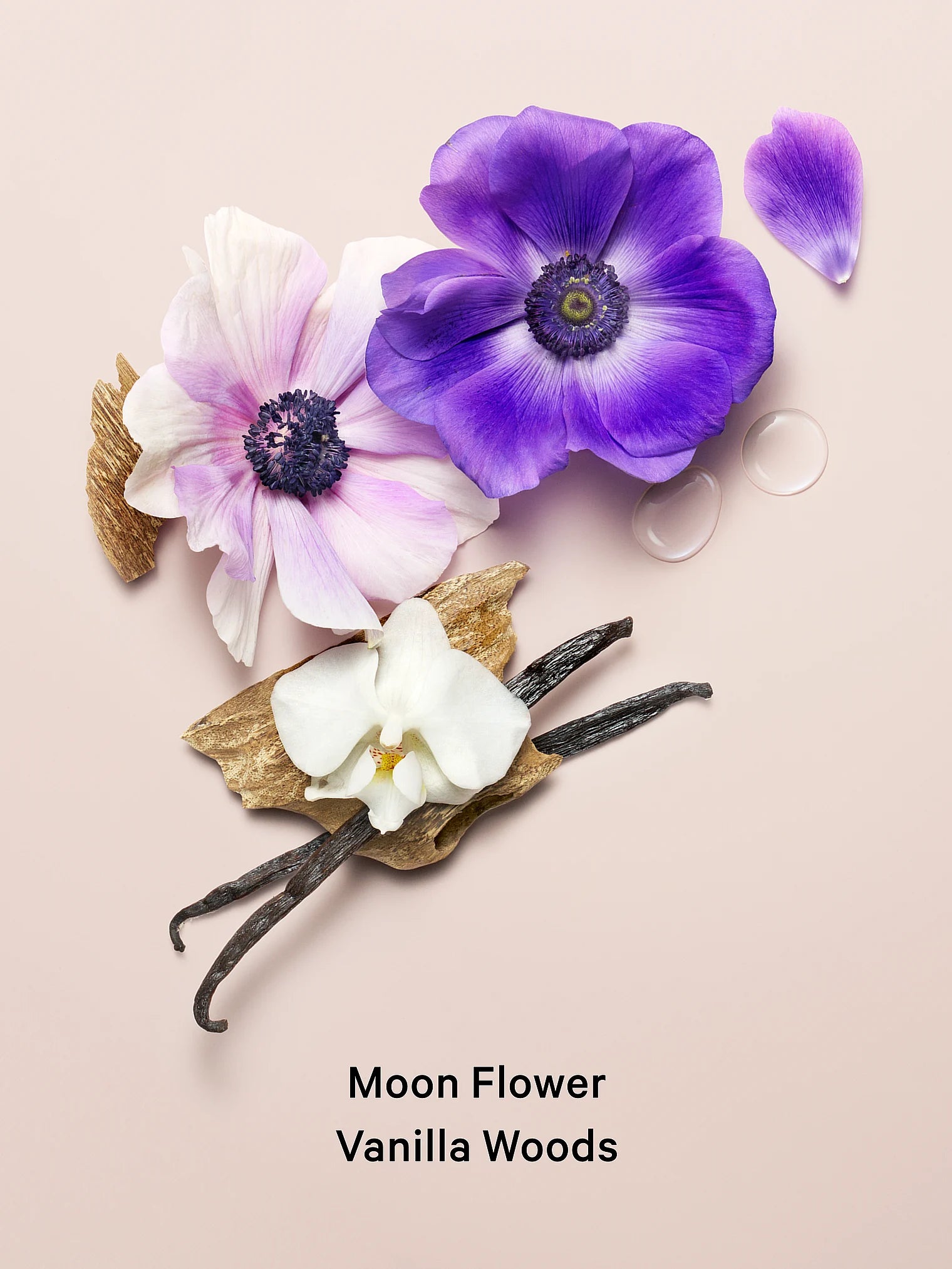 Спрей Midnight Bloom Shimmer Victoria's Secret