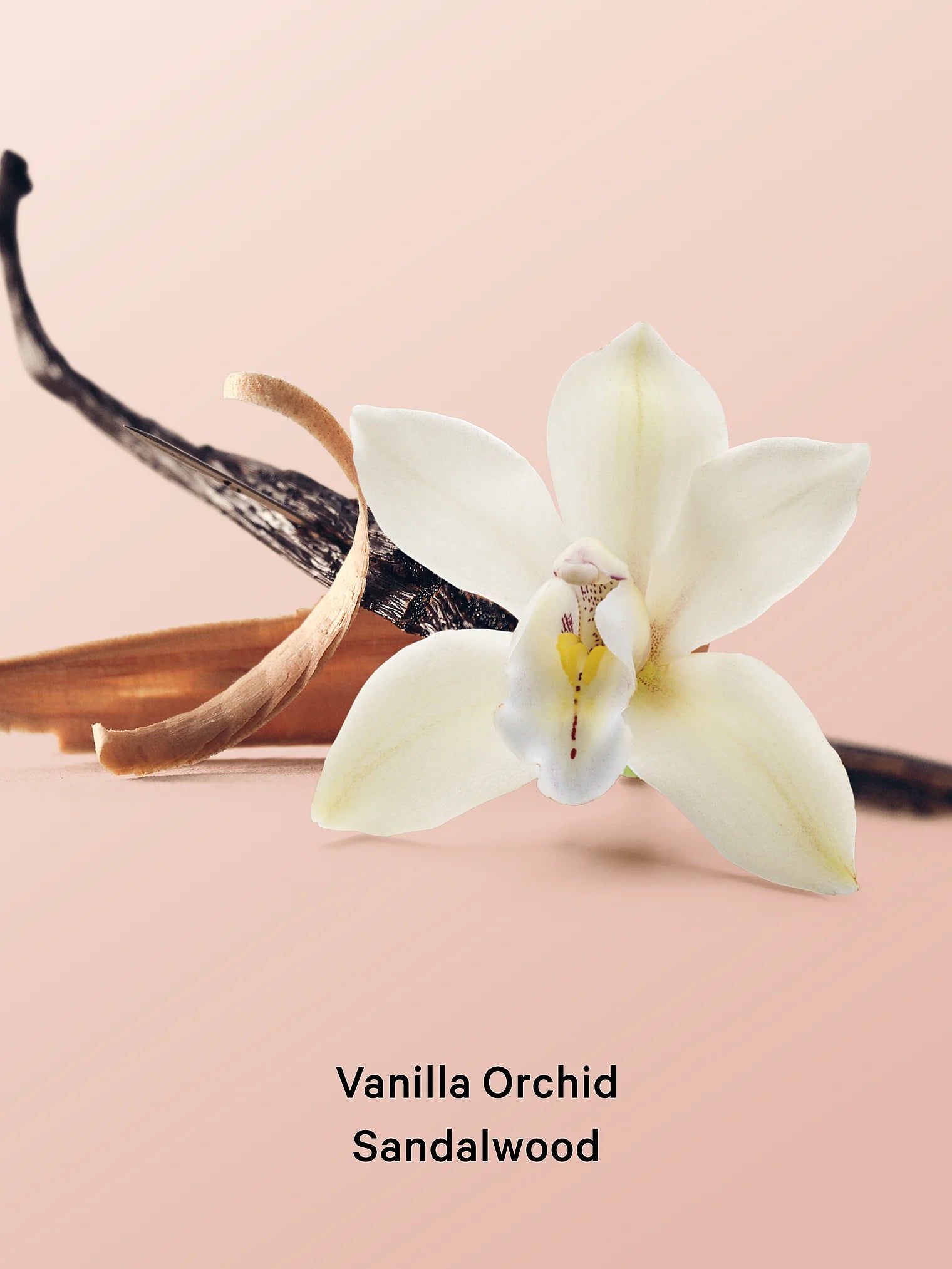 Олійка для тіла Vanilla Orchid Sandalwood Victoria's Secret