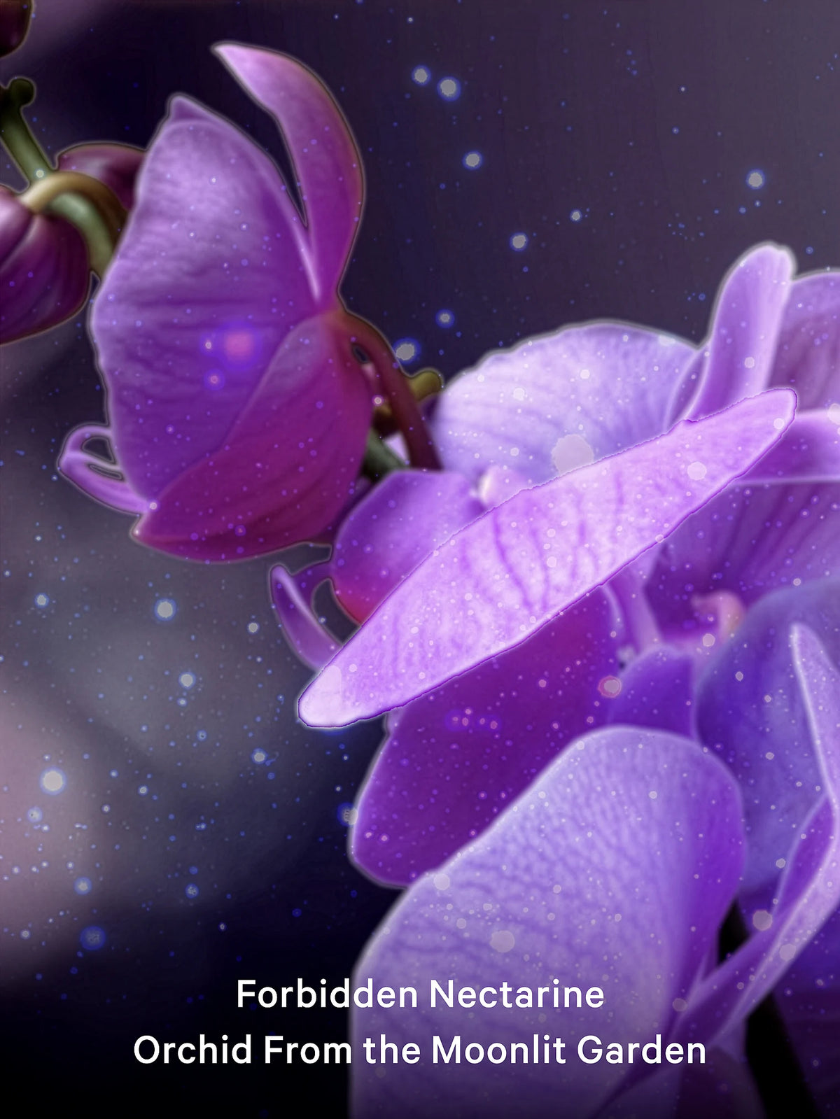 Спрей Elixir Nocturne Shimmer Victoria's Secret