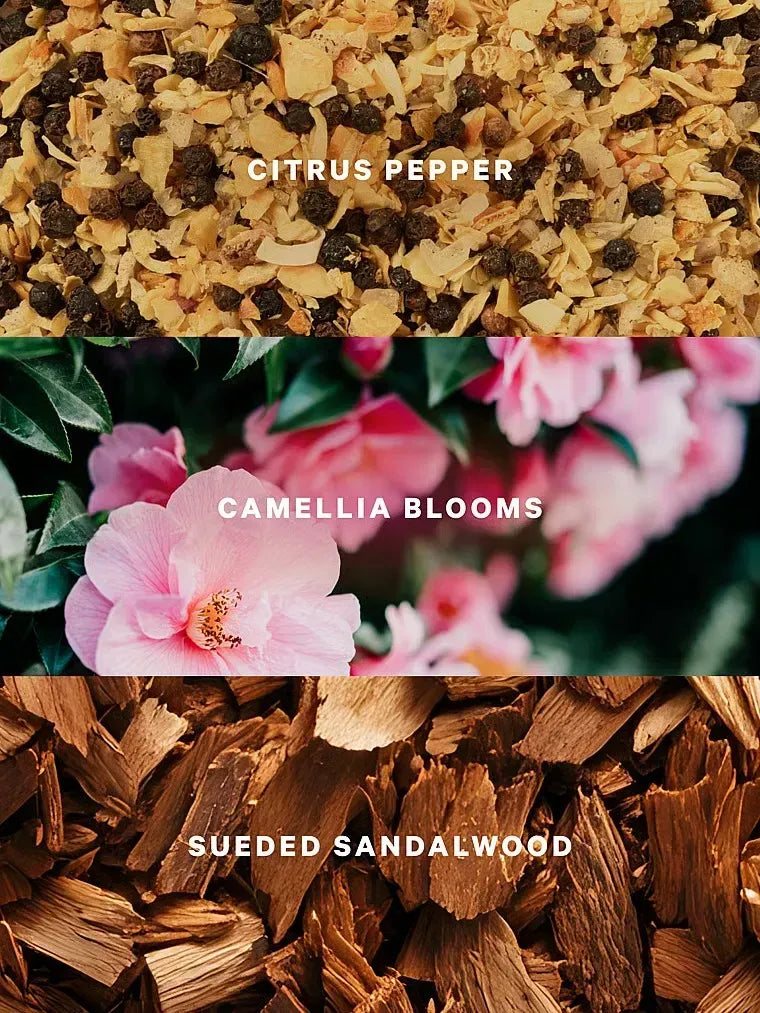 Спрей Camellia Sunset Victoria's Secret