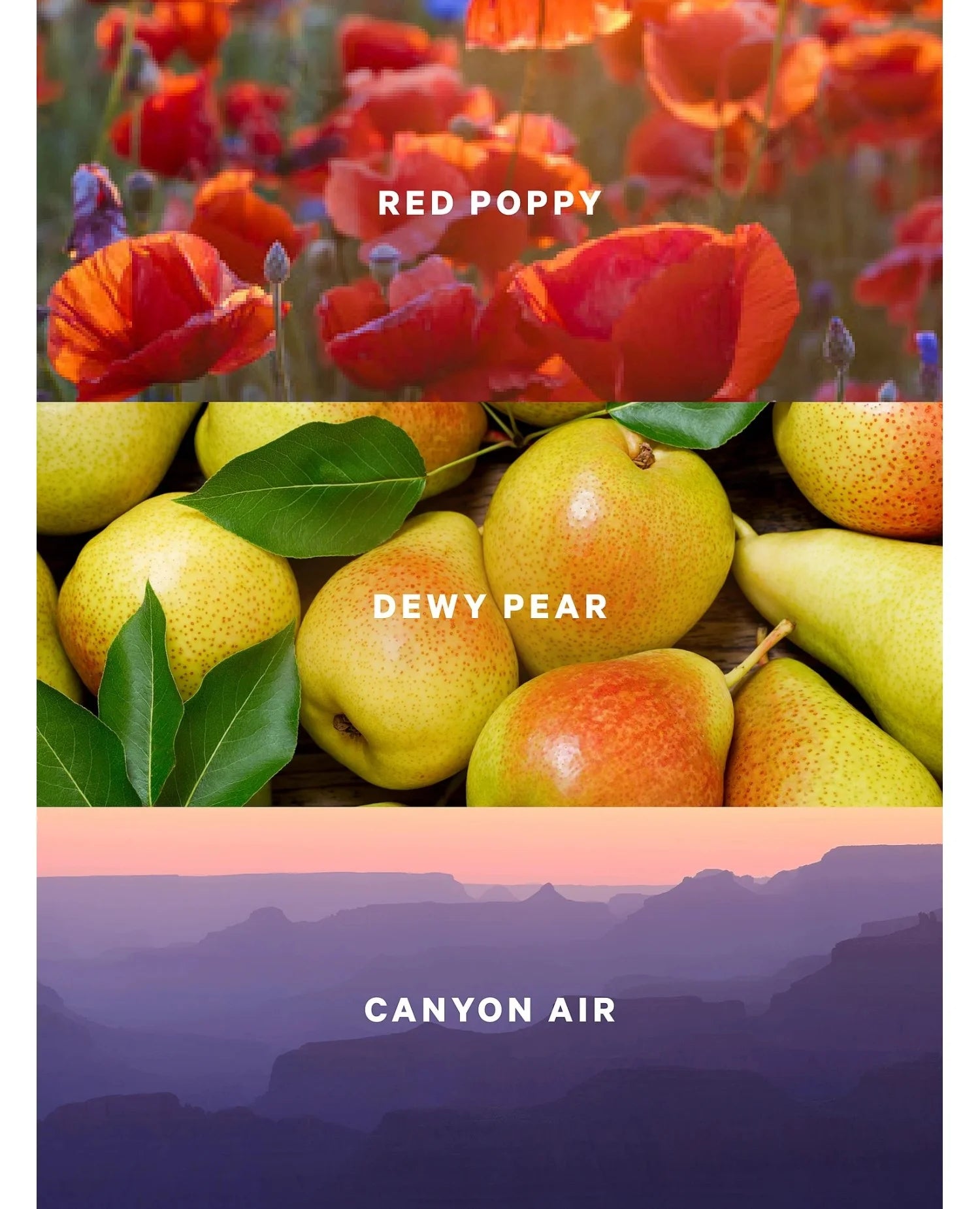 Спрей Canyon Blooms Victoria's Secret