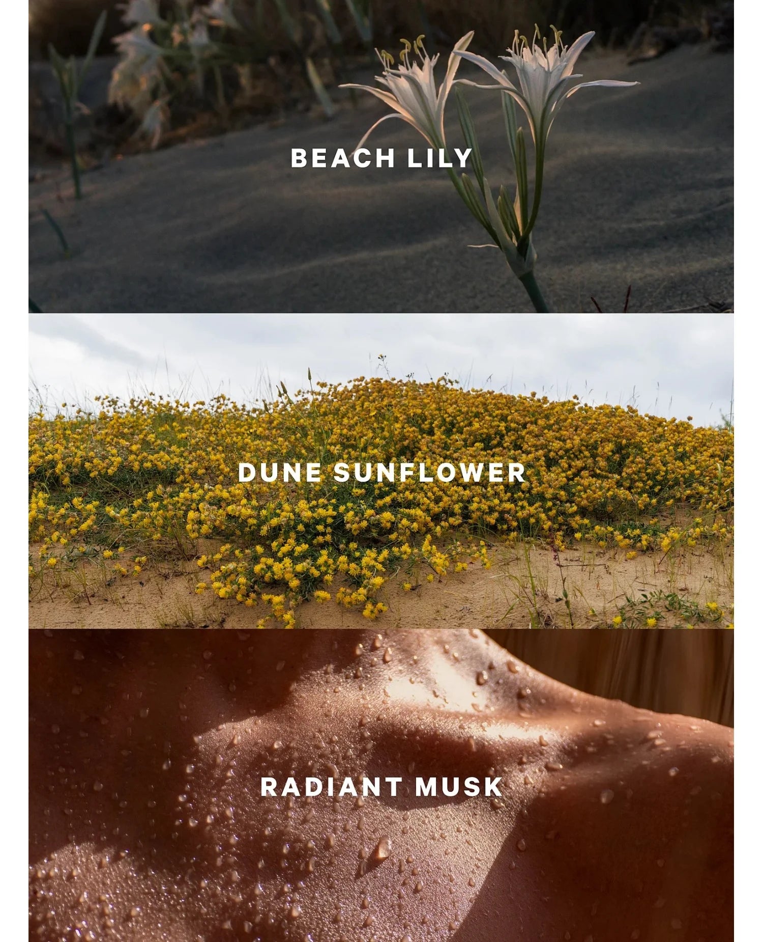 Спрей Sundrenched Blooms Victoria's Secret