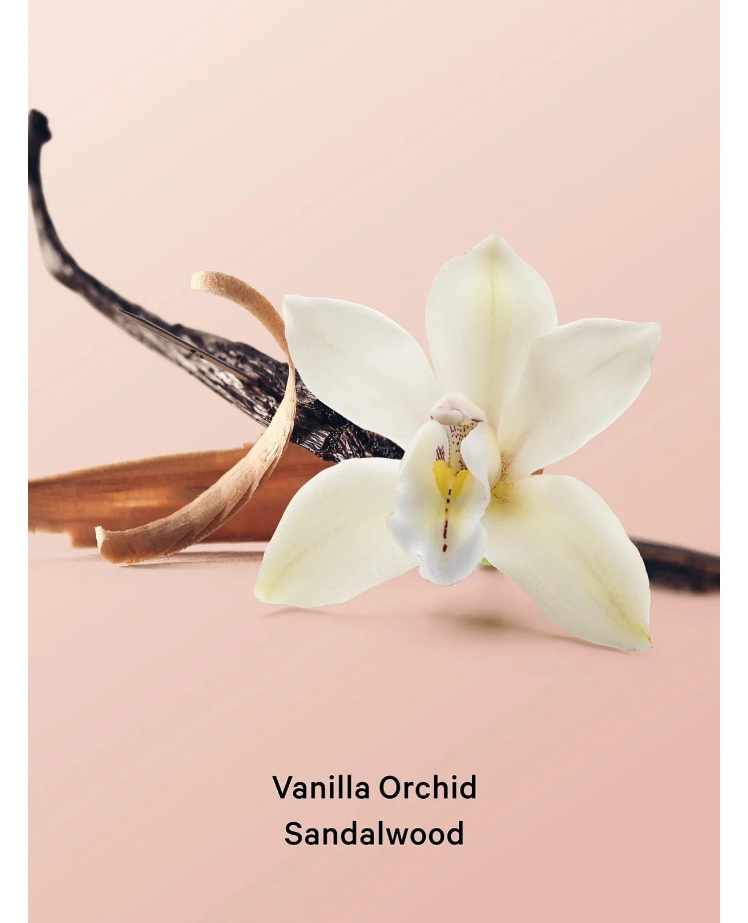 Скраб Vanilla Orchid Sandalwood Victoria's Secret