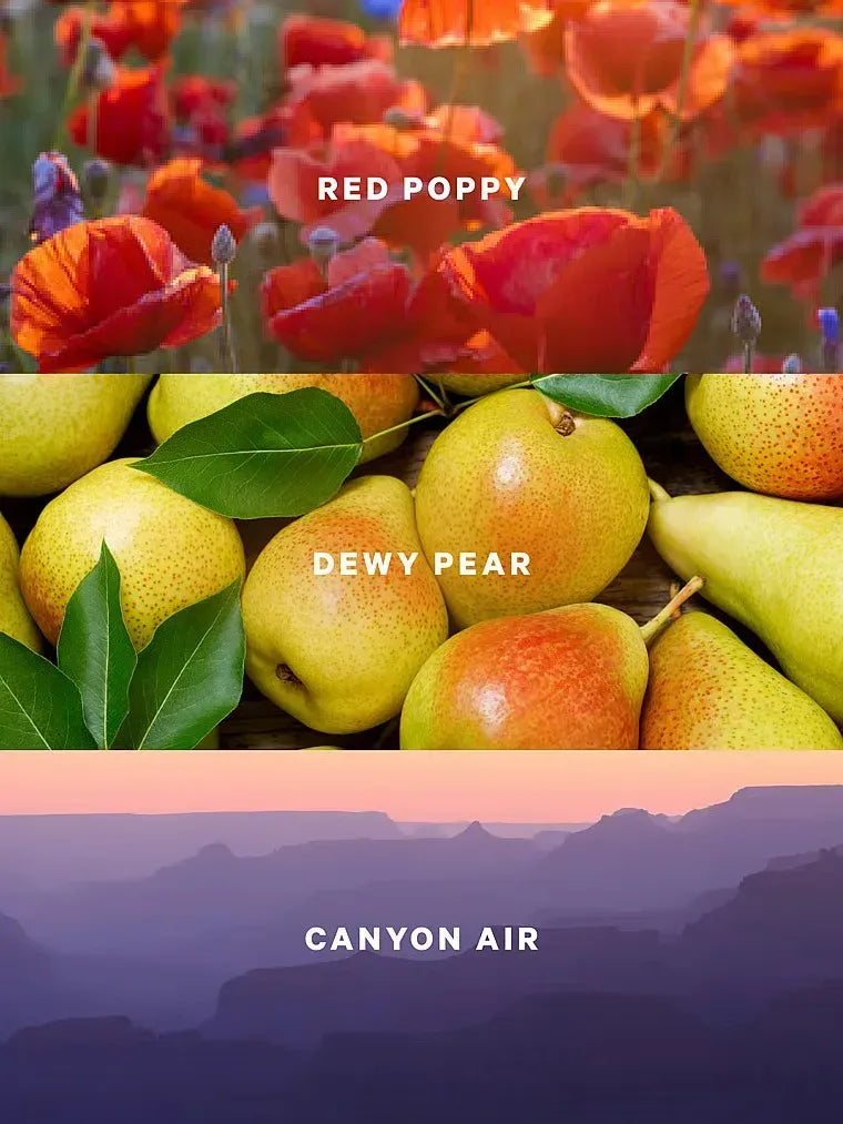 Лосьйон Canyon Blooms Victoria's Secret