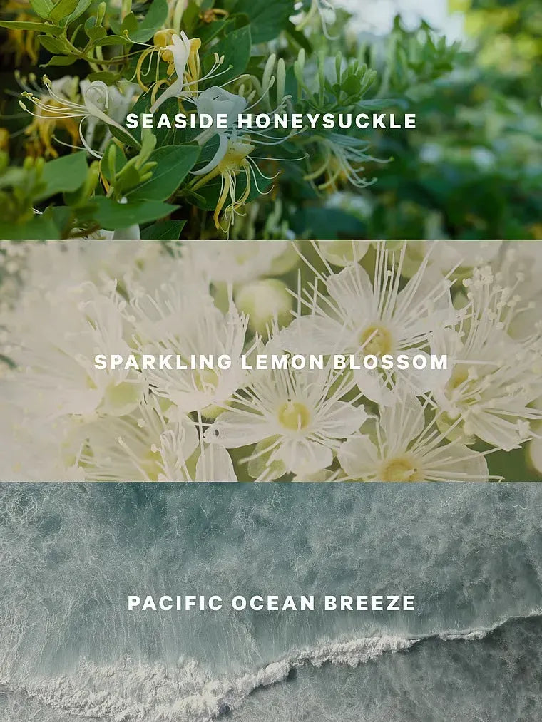 Лосьйон Coastal Blooms Victoria's Secret