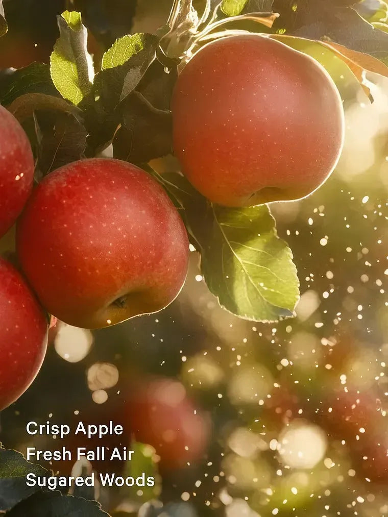 Лосьйон Dreamy Apple Victoria's Secret