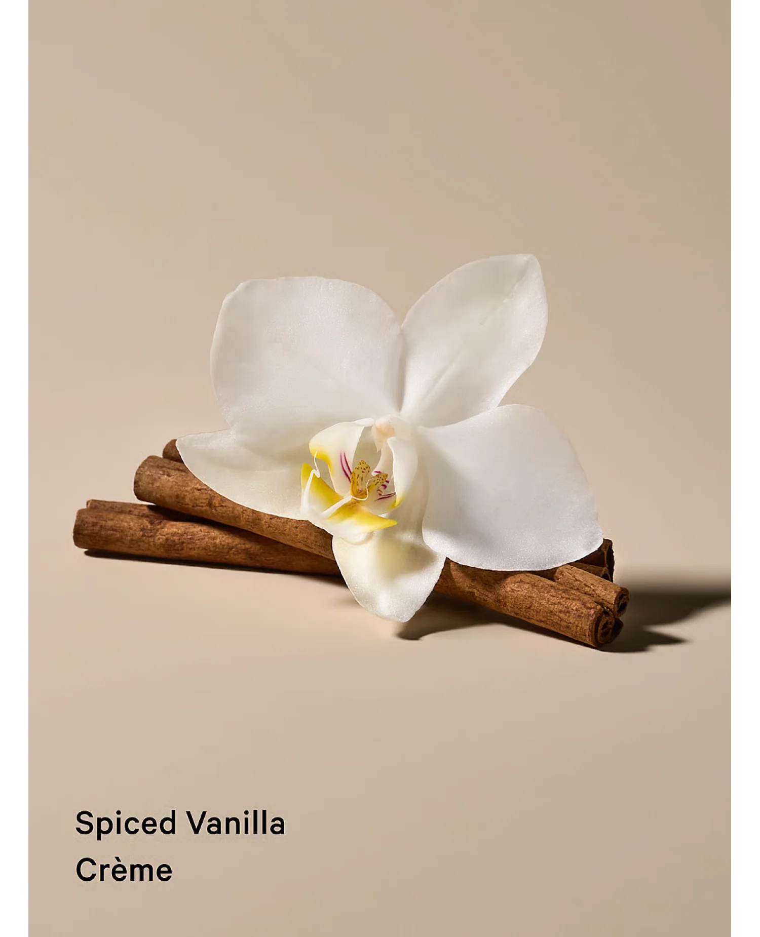 Подарунковий набір Spiced vanilla Feel Toasty 2-Piece Mini Body Mist & Lotion Gift Set Victoria's Secret