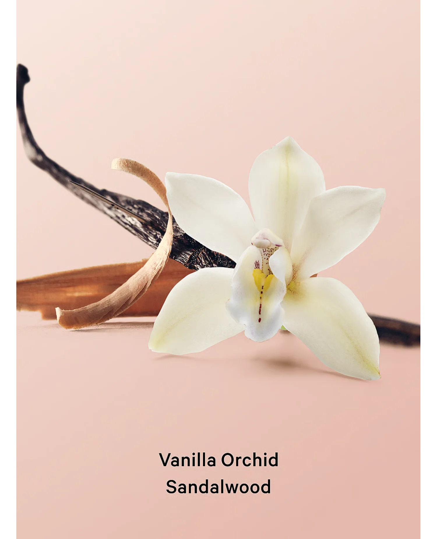 Лосьйон Vanilla Orchid Sandalwood Victoria's Secret