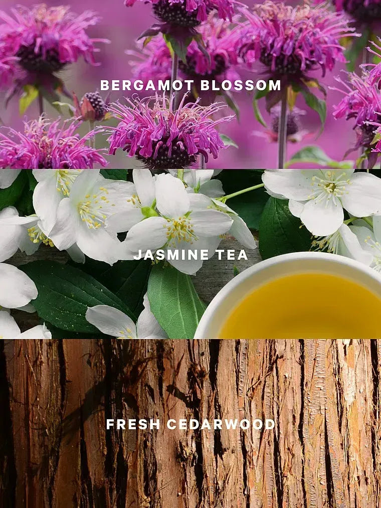 Спрей Jasmine Tea Sunrise Victoria's Secret